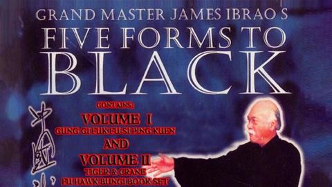 Five Forms To Black: Vol. 2 (2004)