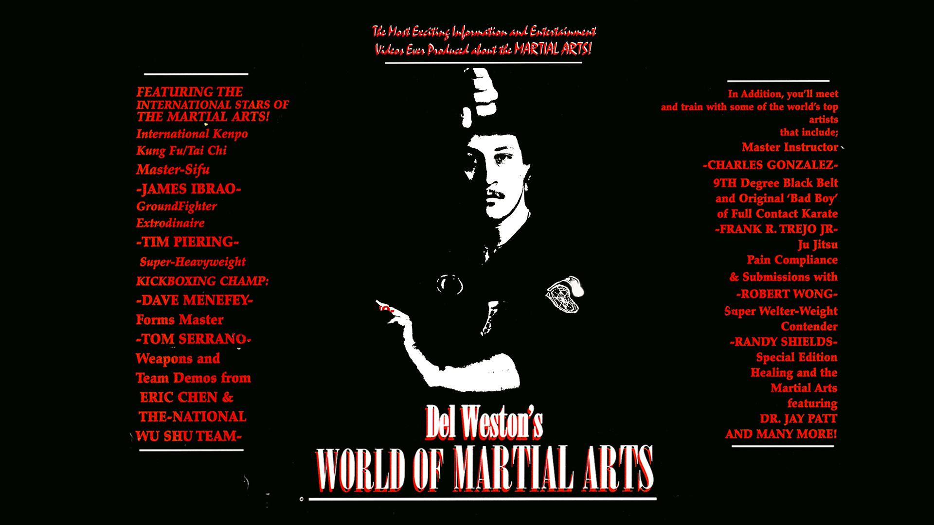 The World of Martial Arts (2004)