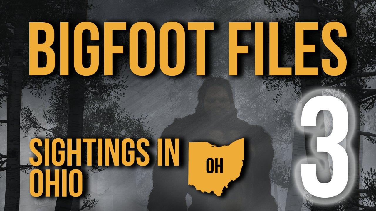 Bigfoot Files 3: Sightings in Ohio (2023)